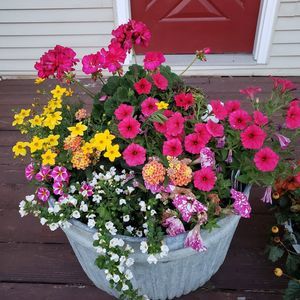 Meet your Posher, Andrea